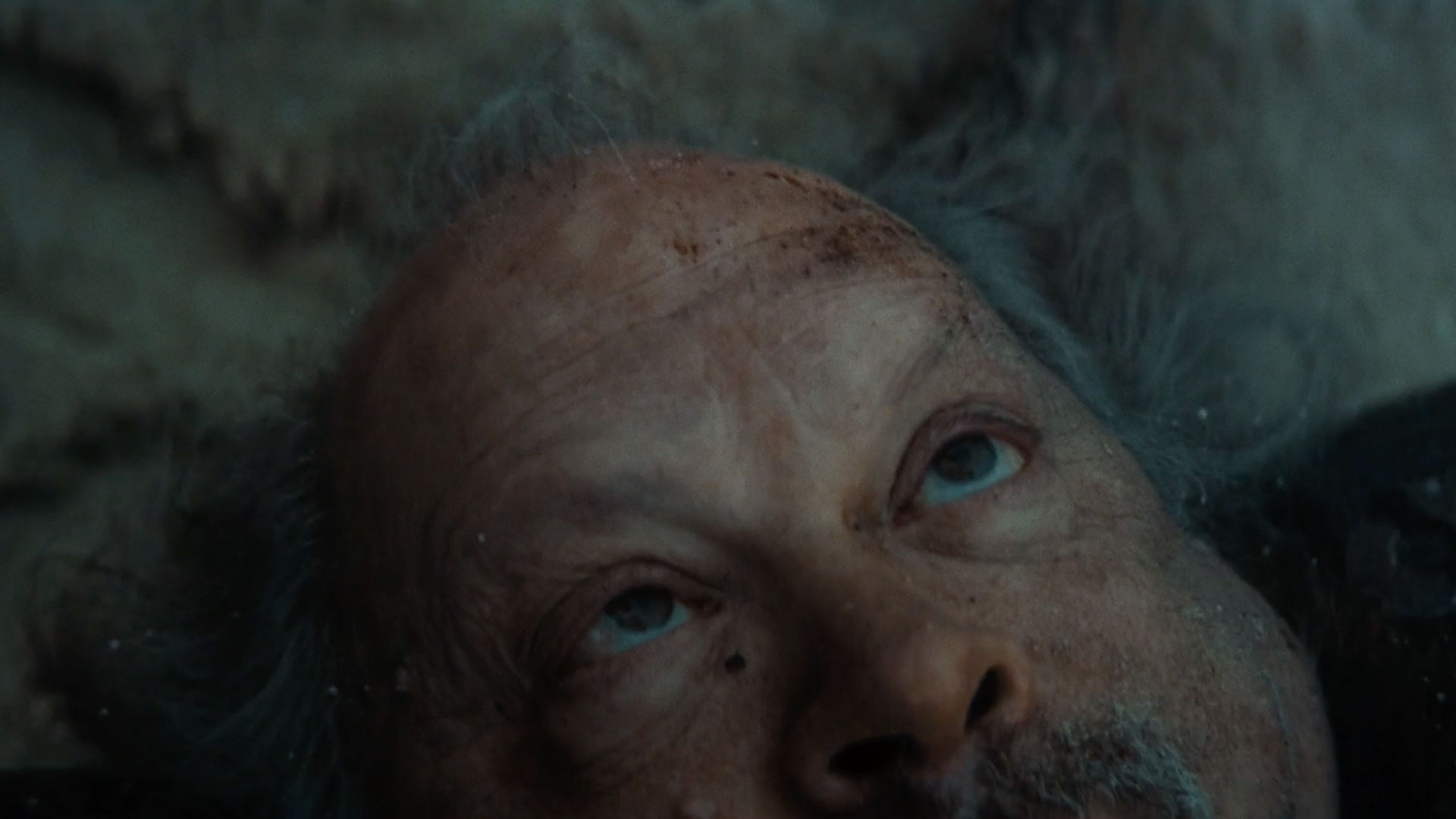 Go Spring – I am your father